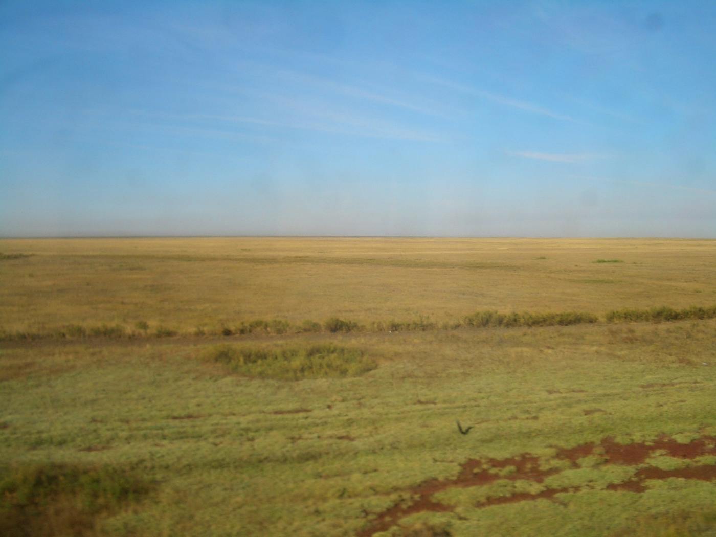 Kazakh Forest Steppe & Grasslands (PA34) One Earth